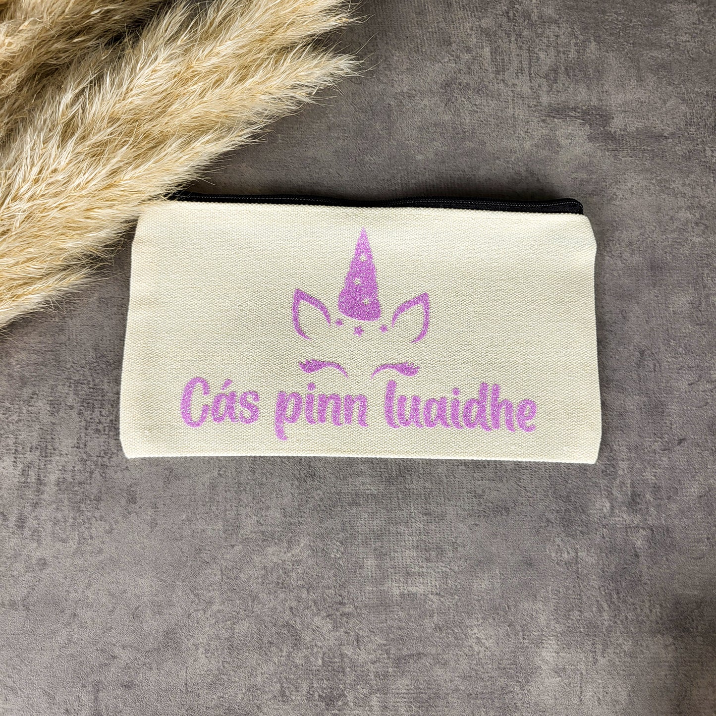 Cás pinn luaidhe- pencil case