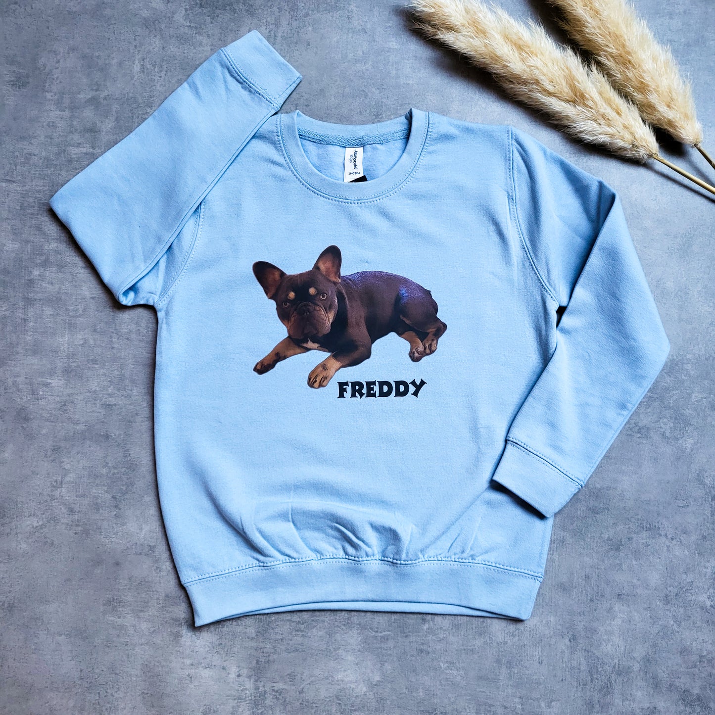 Custom Pet Jumper