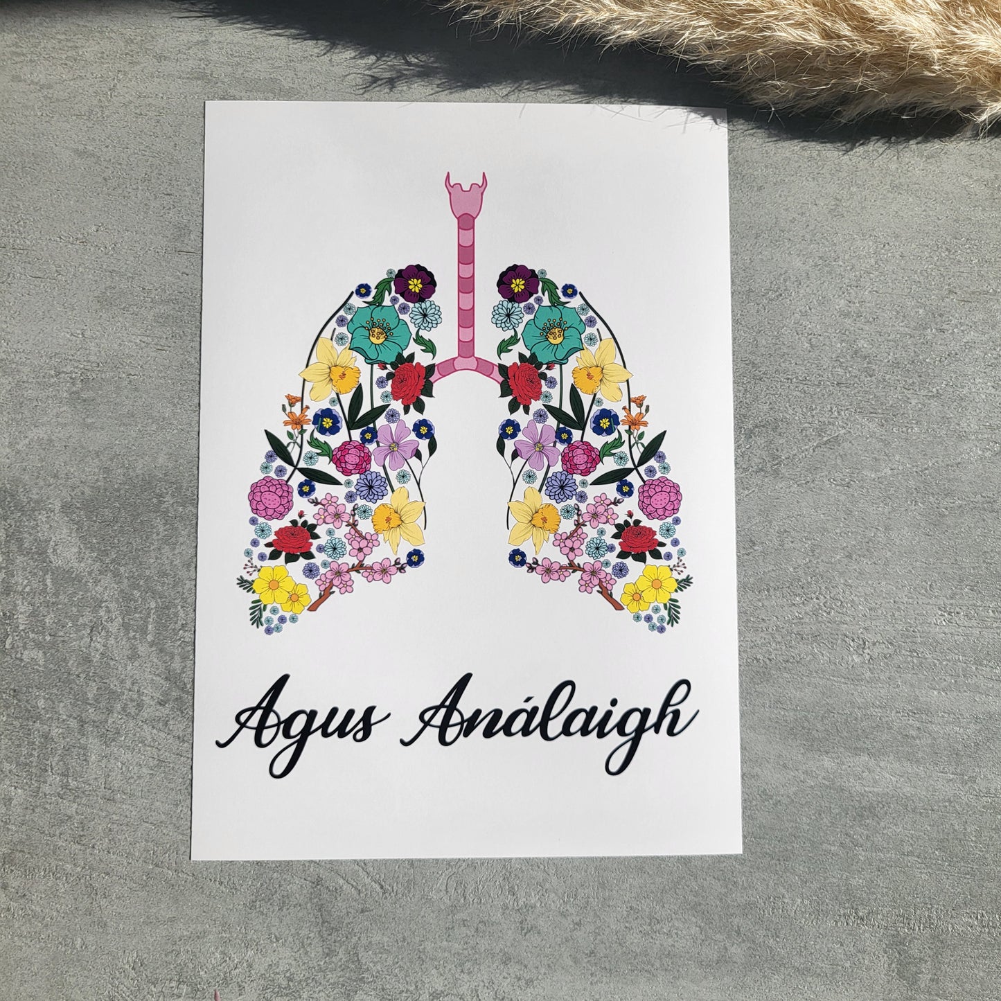 Agus Análaigh