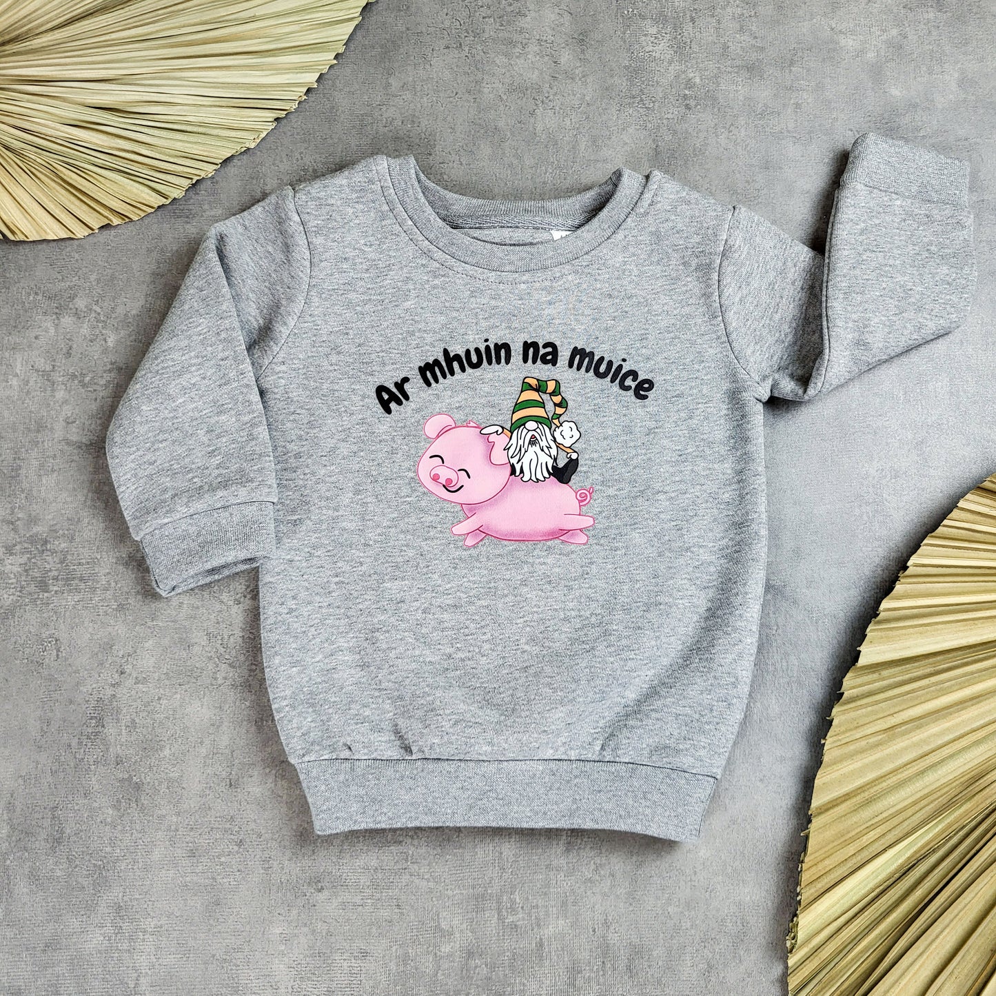 Ar mhuin na muice sweatshirt (baby)