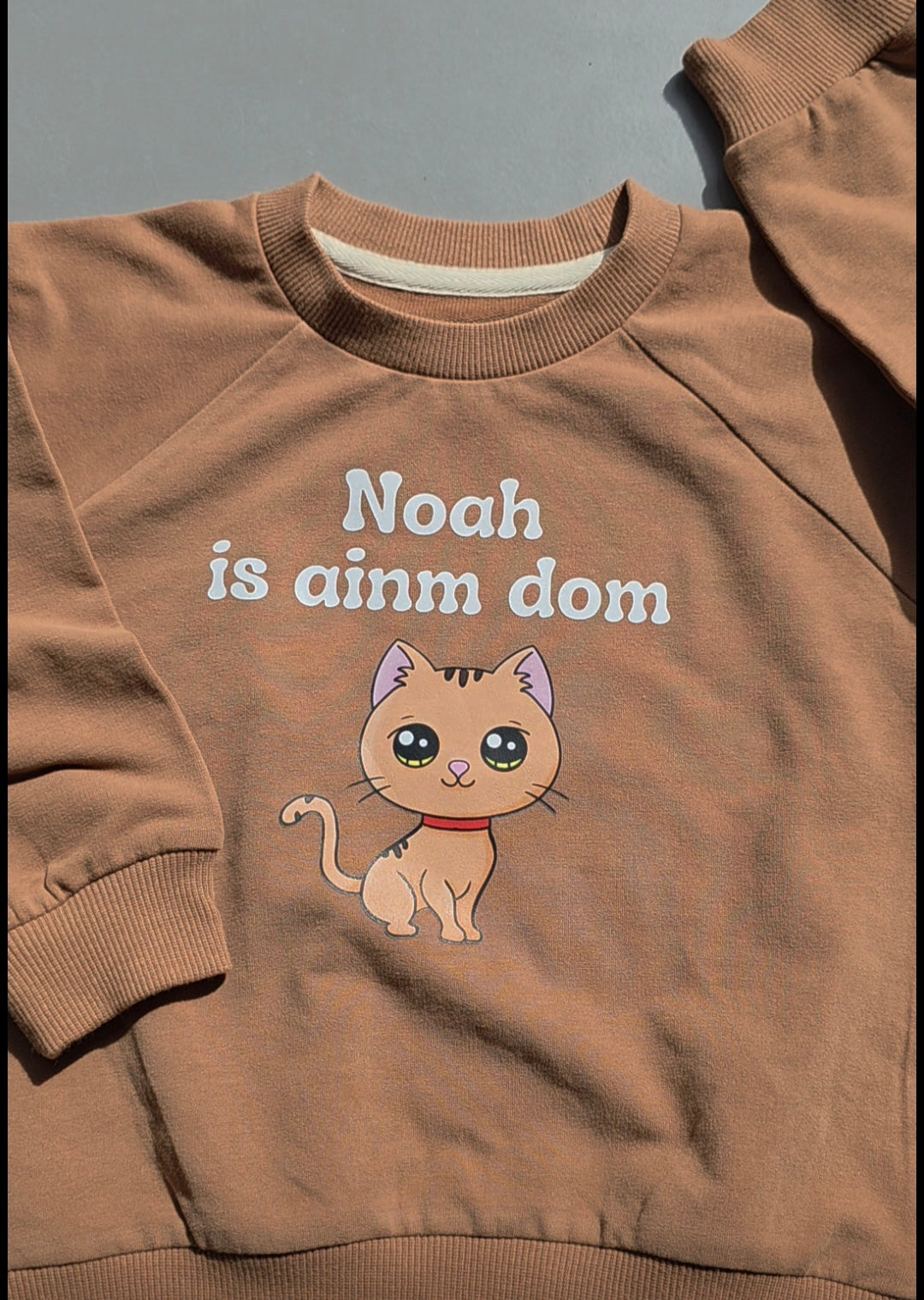 Custom Character and name Jumper (0-4years)