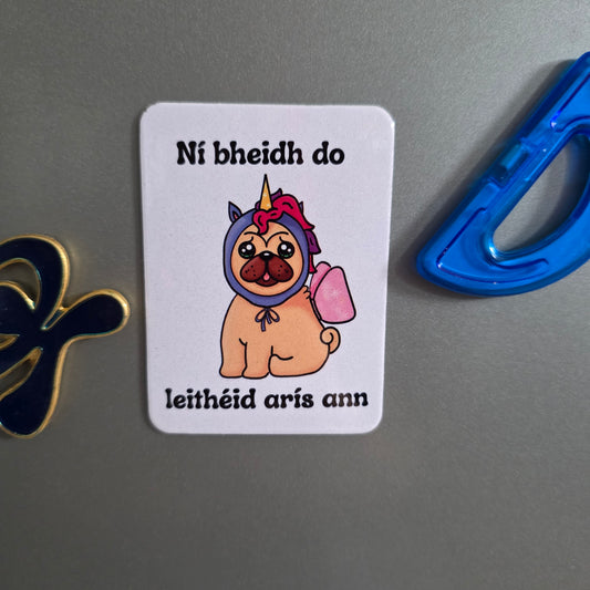 Ni bheidh do leithéid magnet